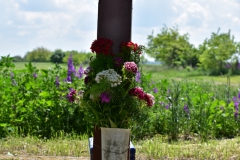DSC_1155