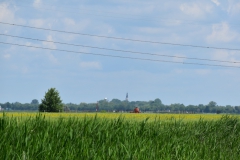 DSC_1161