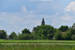 DSC_1164